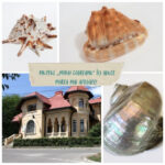 marea din mijlocul iasului muzeul mihai codreanu iti aduce litoralul mai aproape decat crezi 68721265303ca