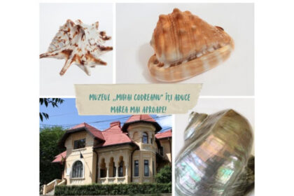 marea din mijlocul iasului muzeul mihai codreanu iti aduce litoralul mai aproape decat crezi 68721265303ca