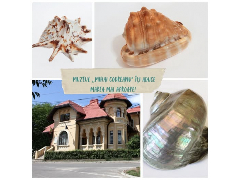 marea din mijlocul iasului muzeul mihai codreanu iti aduce litoralul mai aproape decat crezi 68721265303ca