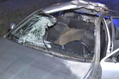 masina unui iesean distrusa de mistret pe drumul mortii cine l a despagubit 686ce22120e6f