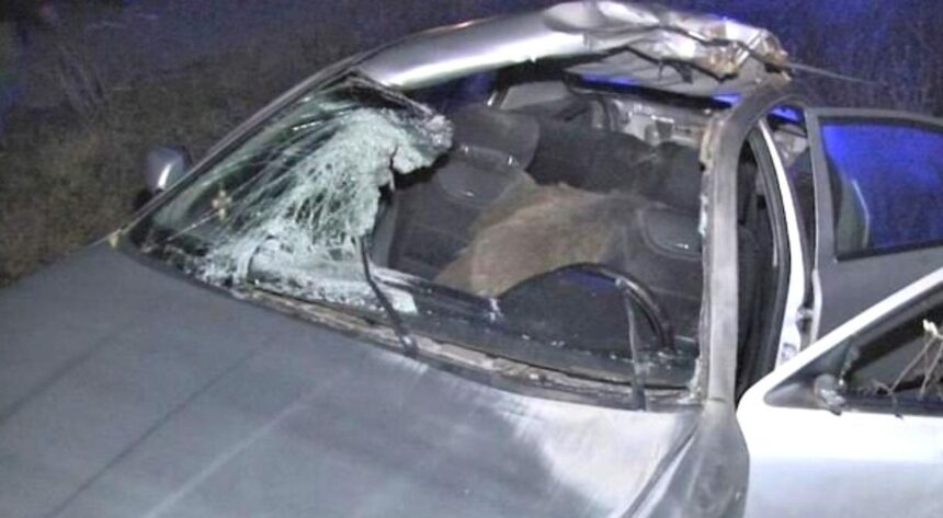 masina unui iesean distrusa de mistret pe drumul mortii cine l a despagubit 686ce22120e6f