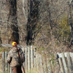 ministra mediului vrea drone si camere video pentru padurari oamenii nu mai au incredere ce alte taieri vor fi la romsilva 688249c7c5e10