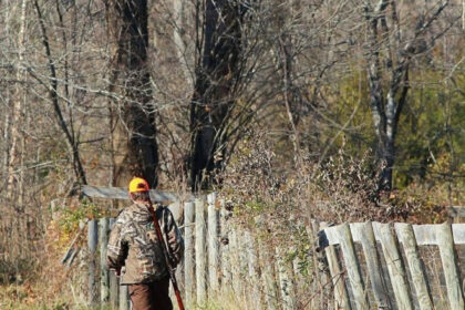 ministra mediului vrea drone si camere video pentru padurari oamenii nu mai au incredere ce alte taieri vor fi la romsilva 688249c7c5e10