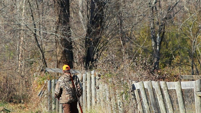 ministra mediului vrea drone si camere video pentru padurari oamenii nu mai au incredere ce alte taieri vor fi la romsilva 688249c7c5e10