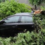 misiune in dinamica arbore cazut peste trei autoturisme pe aleea tudor neculai municipiul iasi 6887cae31f5bd