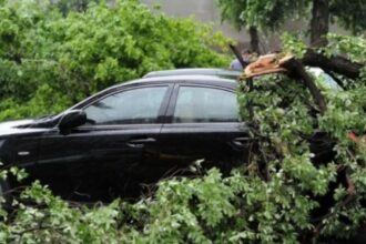 misiune in dinamica arbore cazut peste trei autoturisme pe aleea tudor neculai municipiul iasi 6887cae31f5bd