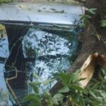 misiune in dinamica arbore cazut peste un autoturism pe strada inculet municipiul iasi 6887d9d87ff0e