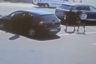 momentul socant in care doi barbati rapesc o femeie din parcarea unui supermarket din bacau video 686d3eed88cc5