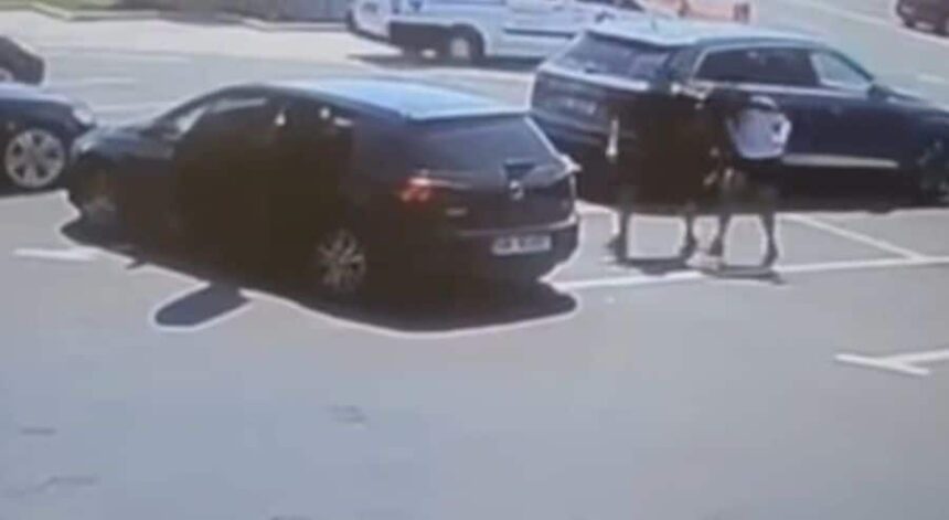 momentul socant in care doi barbati rapesc o femeie din parcarea unui supermarket din bacau video 686d3eed88cc5