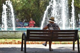 municipalitatea ia masuri pentru diminuarea efectelor negative ale vremii caniculare 686be1eda49dd