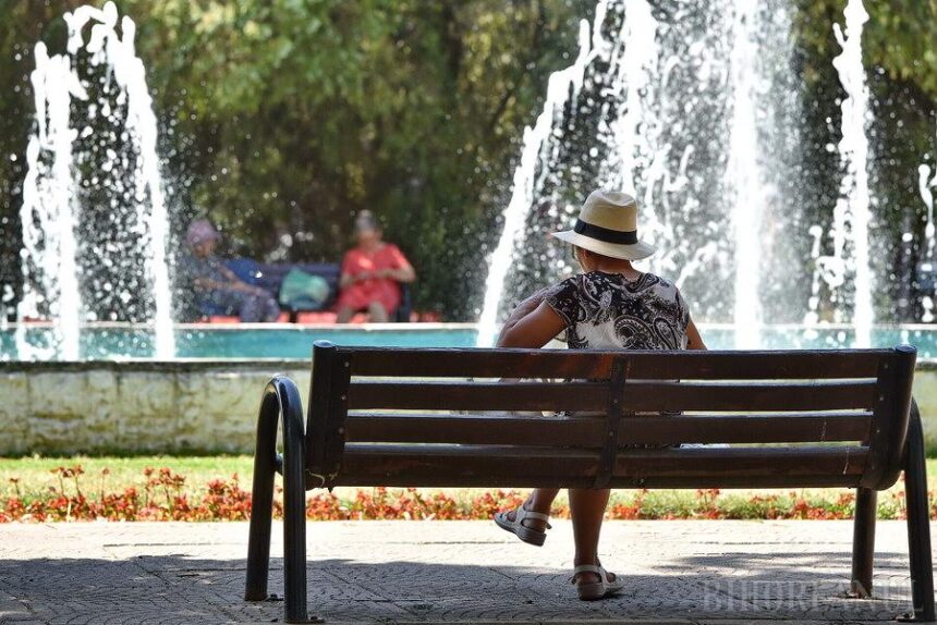 municipalitatea ia masuri pentru diminuarea efectelor negative ale vremii caniculare 686be1eda49dd