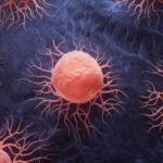 mutatia genetica subtila care i face pe oameni vulnerabili la cancer explicatia cercetatorilor si comparatia cu alte primate 6870b0c67cb52