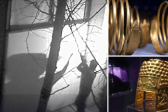 noi audieri in cazul furtului coifului de la cotofenesti si al bratarilor dacice din olanda date din ancheta 6889eafd126bb