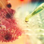 o noua strategie impotriva cancerelor greu de tratat descoperita de cercetatori din australia 688916688ddf3