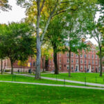 ordonanta a administratiei trump pentru a obtine de la universitatea harvard documente interne despre studentii sai straini 686ebf4c68511