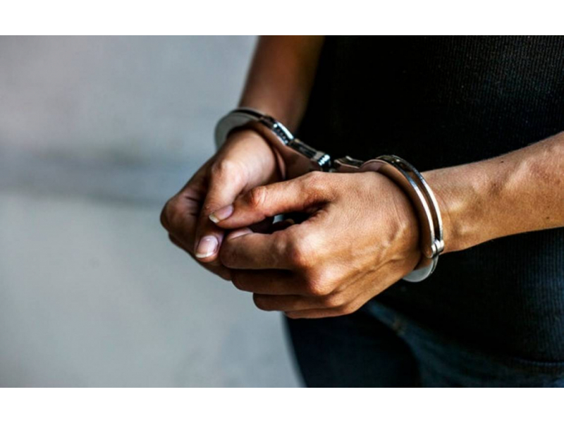 pascanean arestat dupa ce a aruncat cainele iubitei de la etajul 4 6868cf26b9d86