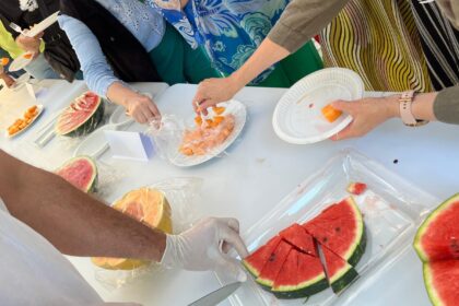 pepenele galben si inghetata artizanala de harbuz atractiile degustarii de la usv iasi iesenii au testat peste 30 de soiuri 688178e4a756e