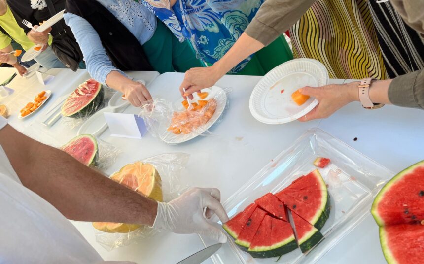 pepenele galben si inghetata artizanala de harbuz atractiile degustarii de la usv iasi iesenii au testat peste 30 de soiuri 688178e4a756e