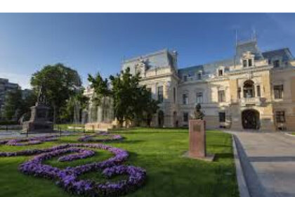 primariile si asistenta sociala intra in greva administratia locala acuza guvernul de distrugere sistematica 687f5f0f68c4d