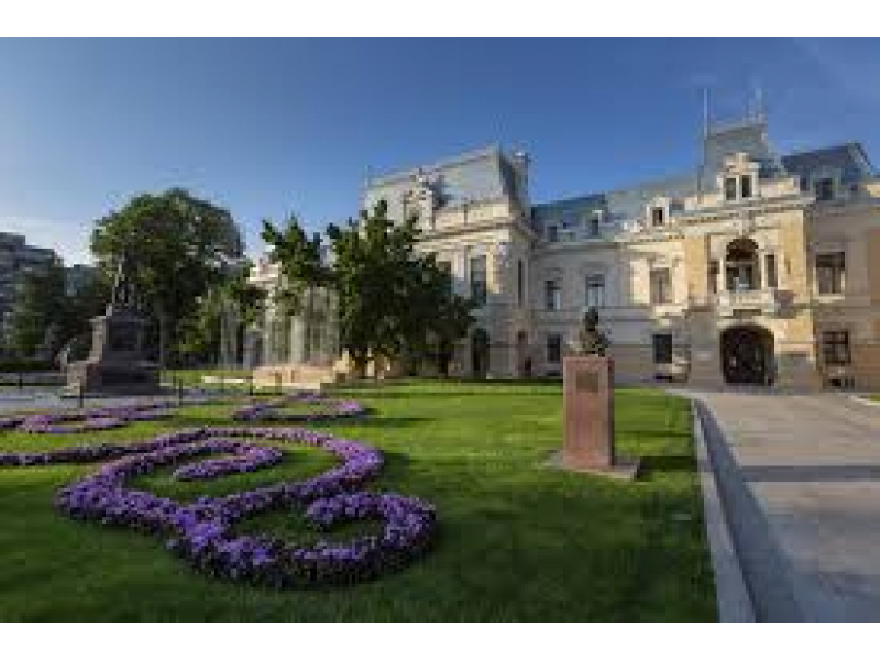 primariile si asistenta sociala intra in greva administratia locala acuza guvernul de distrugere sistematica 687f5f0f68c4d