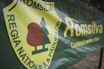 proiectul de hotarare privind reorganizarea romsilva pus joi in dezbatere anunta ministra mediului dupa o discutie cu nicusor dan 68814ea019d4b