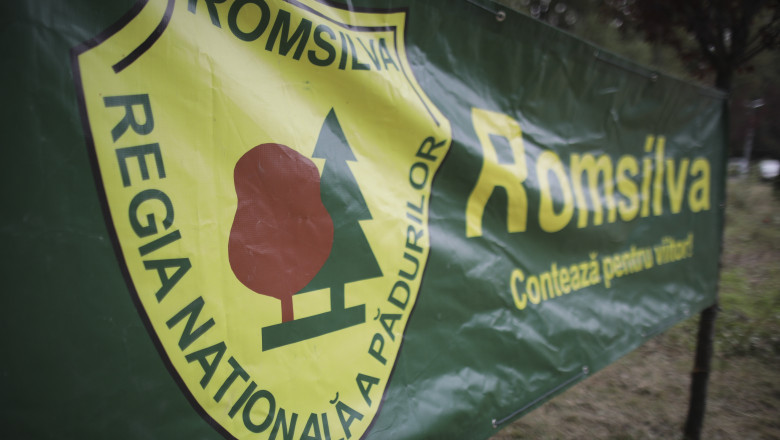 proiectul de hotarare privind reorganizarea romsilva pus joi in dezbatere anunta ministra mediului dupa o discutie cu nicusor dan 68814ea019d4b