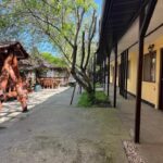 proprietarul unei pensiuni din mamaia sat amendat pentru ca si a lasat cainii pe holuri si a provocat scandal 68879bbd3b79e