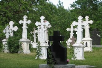 revolutionarii ieseni primesc gratis de la primarie locuri de veci in proprietate 56 de persoane au depus cereri situatie unica in cimitirele din iasi 688ac7ac4eb4c