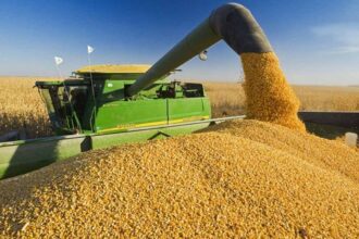 romania de departe cel mai mare exportator de grau din ue in sezonul 2024 25 686ebf5103a92