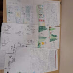 scoala de vara a departamentului pro vita un laborator de prietenie pasiune si descoperire 688240348579d