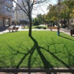 se face din nou recesamantul spatiilor verzi din iasi motivul actualul registru are numeroase erori plus arhiva digitala cu arborii valorosi 68881e203083e