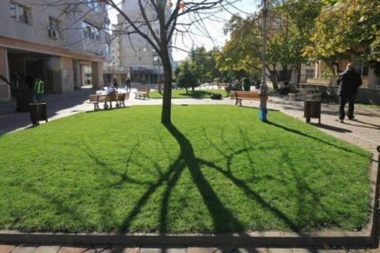 se face din nou recesamantul spatiilor verzi din iasi motivul actualul registru are numeroase erori plus arhiva digitala cu arborii valorosi 68881e203083e