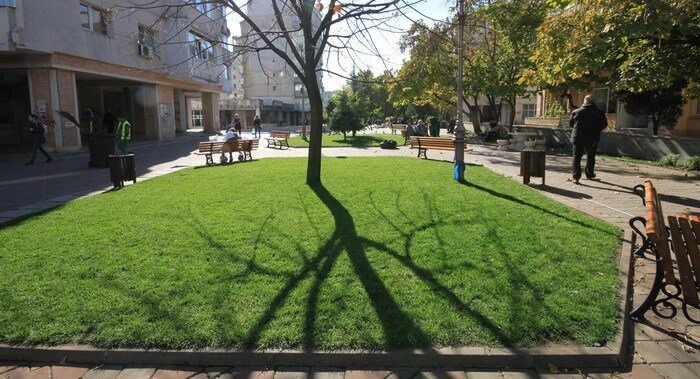 se face din nou recesamantul spatiilor verzi din iasi motivul actualul registru are numeroase erori plus arhiva digitala cu arborii valorosi 68881e203083e