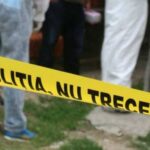 sot si sotie gasiti injunghiati in curtea casei lor din timis cei doi au fost gasiti de fiul lor 6886467fa6c7e
