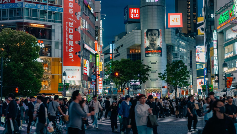 strainii o tema electorala in japonia tara cu o tendinta izolationista scopul grupului de lucru pentru coexistenta armonioasa 6879fceee563a