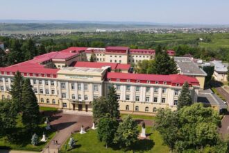 studentii aleg internship urile oferite de usv iasi 6874b138e0b7a