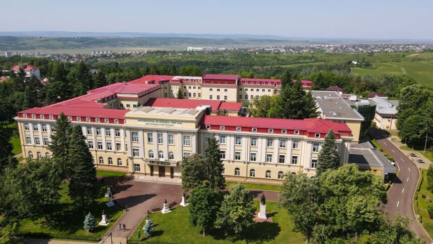 studentii aleg internship urile oferite de usv iasi 6874b138e0b7a