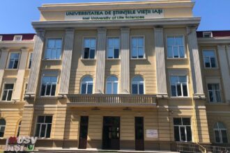 studentii aleg internship urile oferite de usv iasi 6874cfb9de24a