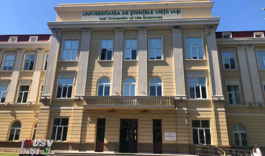 studentii aleg internship urile oferite de usv iasi 6874cfb9de24a