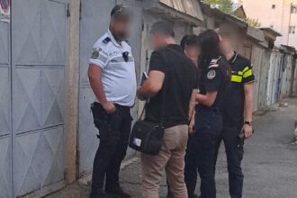 tanarul din pascani care a ucis cainele prietenei sale dupa ce l a izbit pe ciment a fost arestat preventiv 6868218c4baf5