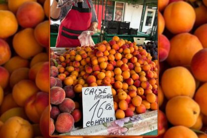 teapa de proportii in piete tone de caise false sunt vandute pe tarabe la preturi exorbitante nu exista asa ceva 68782ffa6fcca