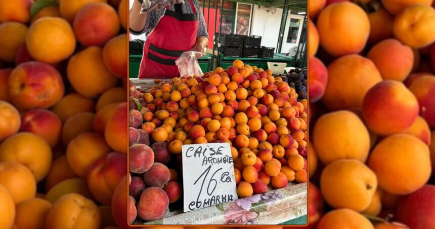 teapa de proportii in piete tone de caise false sunt vandute pe tarabe la preturi exorbitante nu exista asa ceva 68782ffa6fcca