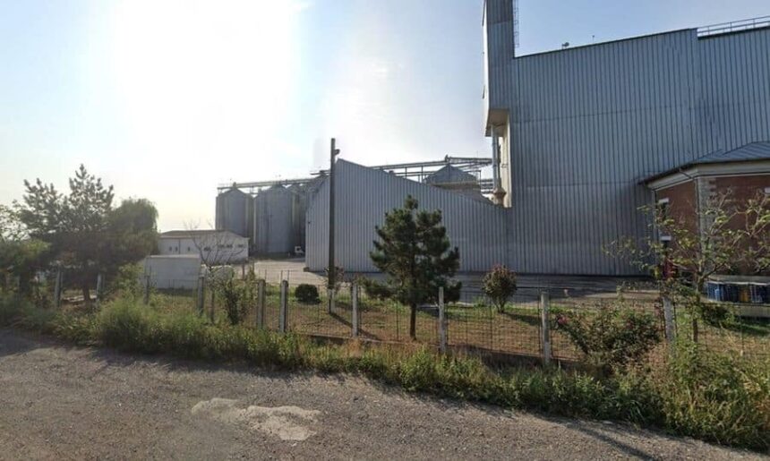 tragedie la o ferma din buzau doi muncitori dintre care un fost viceprimar au murit intr un buncar de cereale 688243e150cfd