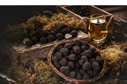 trufele negre intra in jocul marilor bani ciupercile de padure noul lux culinar livrat la usa 688896437d03a