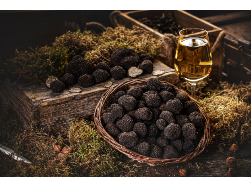 trufele negre intra in jocul marilor bani ciupercile de padure noul lux culinar livrat la usa 688896437d03a