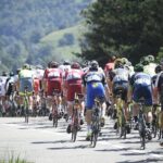 turul frantei etapa a 19 a scurtata cu 349 km dupa descoperirea unui focar de boala la bovine 68832b3fad477