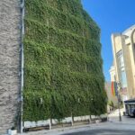 umf iasi integreaza un perete verde exterior policlinicii de stomatologie pediatrica 688b6e14e27bc