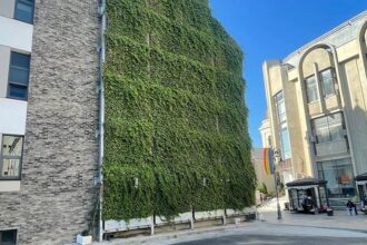 umf iasi integreaza un perete verde exterior policlinicii de stomatologie pediatrica 688b6e14e27bc