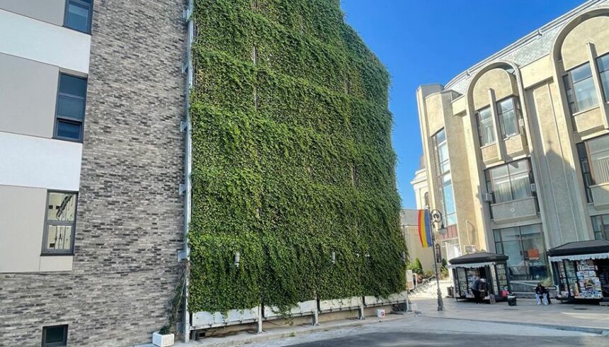 umf iasi integreaza un perete verde exterior policlinicii de stomatologie pediatrica 688b6e14e27bc