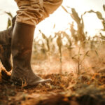 un fermier din vrancea a devenit milionar dupa ce a pierdut tot despagubiri uriase de la statul roman 6885dcdd93646